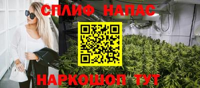 ПСИЛОЦИБИНОВЫЕ ГРИБЫ Тара