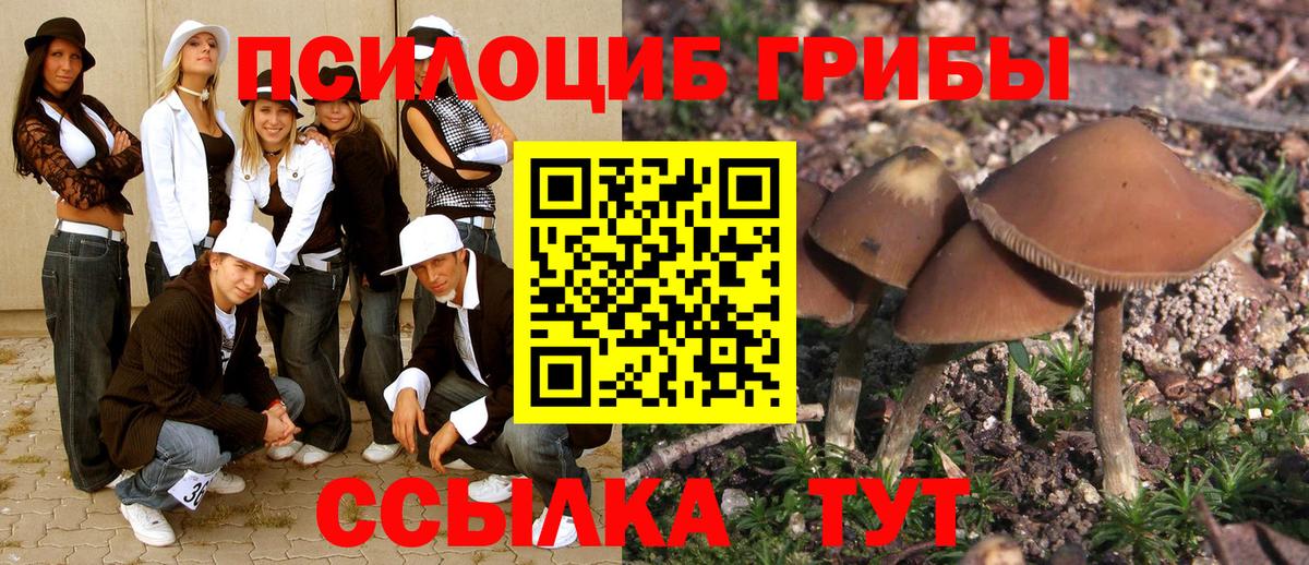 Галлюциногенные грибы MAGIC MUSHROOMS  Вход с VPN  Псилоцибиновые грибы ЛСД  Тайшет 